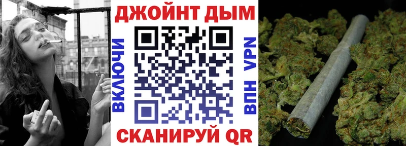 Конопля гибрид  Ипатово 